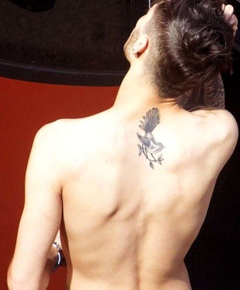 Tatuaje de Pájaro de Abanico de Nueva Zelanda de Zayn Malik