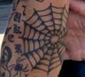 Anders Gran Spider and Spiderweb Tattoo