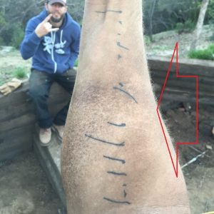 Jason Momoa's 9 Tattoos & Their Meanings - Body Art Guru