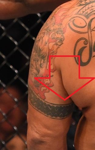 Mark Hunt Left Arm Band Tattoo