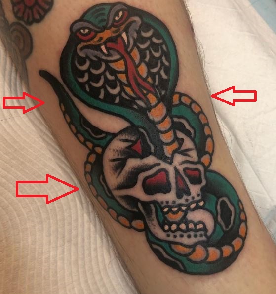 Ben Barlow snake skull tattoo