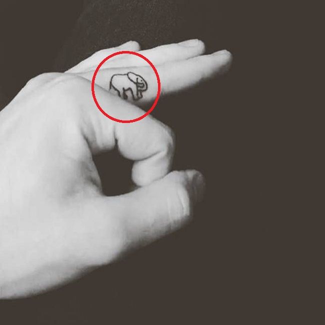 tatuagem de elefante mendes-elefante shawn