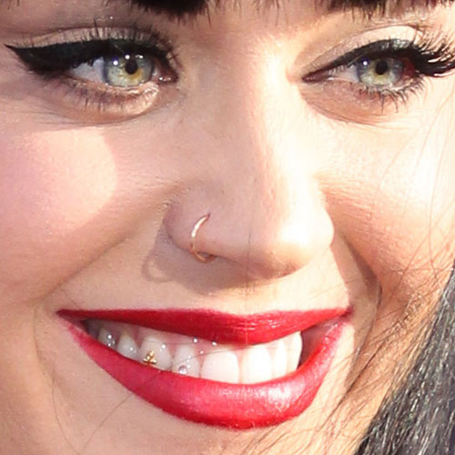 65 Celebrities With Nose Piercing 