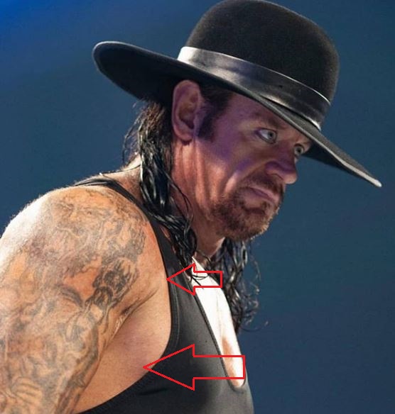 Undertaker meaning