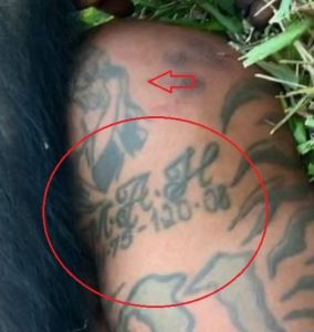 Mike Holston (The Real Tarzann)'s 13 Tattoos & Their Meanings - Body