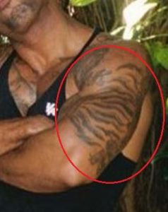 Mike Holston (The Real Tarzann)'s 13 Tattoos & Their Meanings - Body