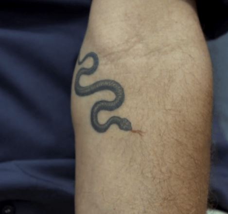 Anthony snake tattoo