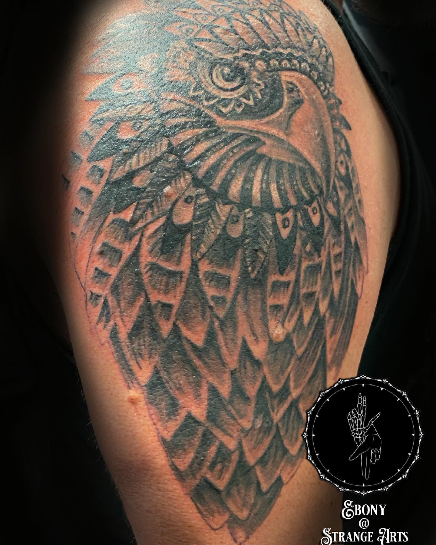 Tattoo Artists in Newcastle, New South Wales