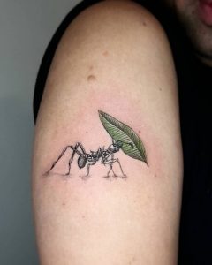 50 Amazing Ant Tattoos with Meanings - Body Art Guru