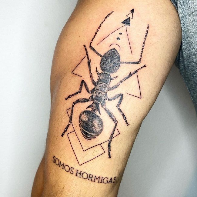 'Colombian Style Ant' Tattoo