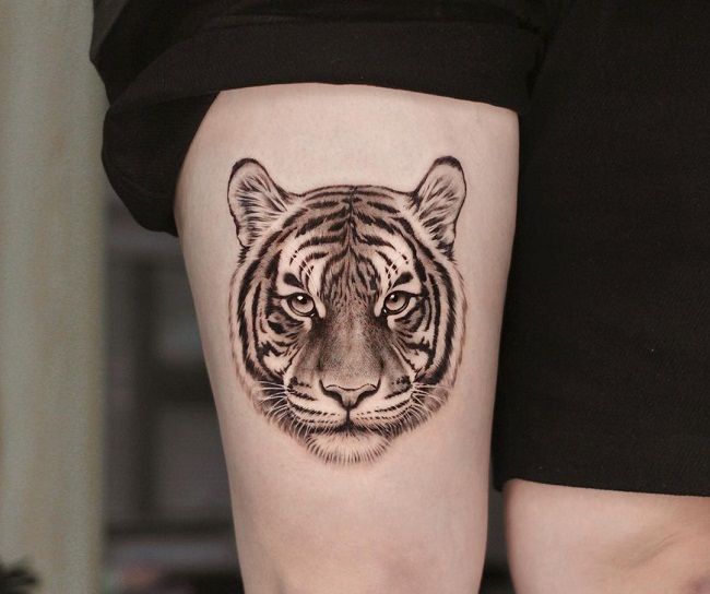 tiger face chest tattoo