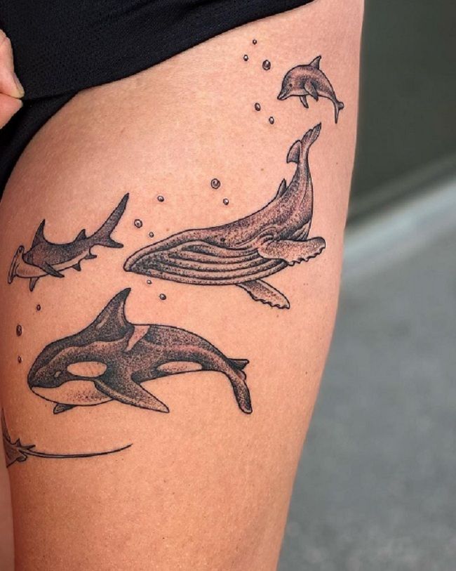 'Family of Dolphin' Tattoo