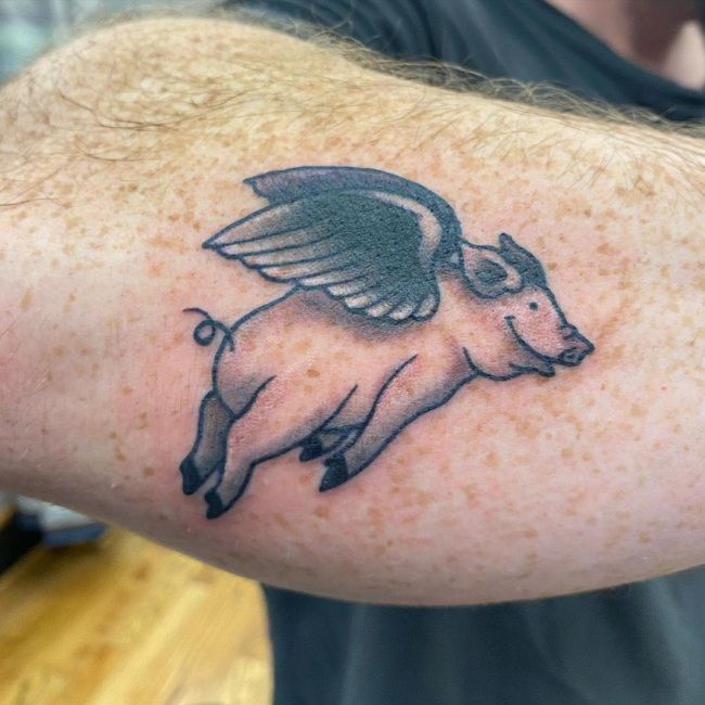 'Pig with Wings' Tattoo