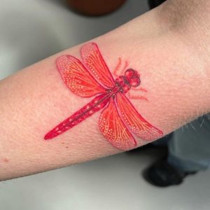 50+ Dragonfly Tattoos with Meanings - Body Art Guru