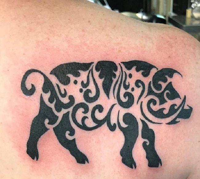 Tribal Pig Tattoo