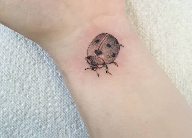 40+ Amazing Ladybird Tattoos with Meaning - Body Art Guru