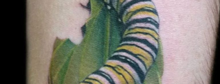 40+ Amazing Caterpillar Tattoos with Meaning 40+ Amazing Caterpillar Tattoos with Meaning