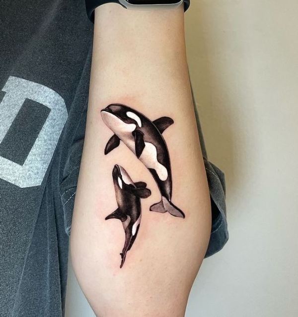 'The Killer Whale' Tattoo