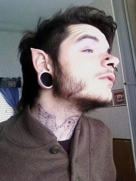 body mods elf ears