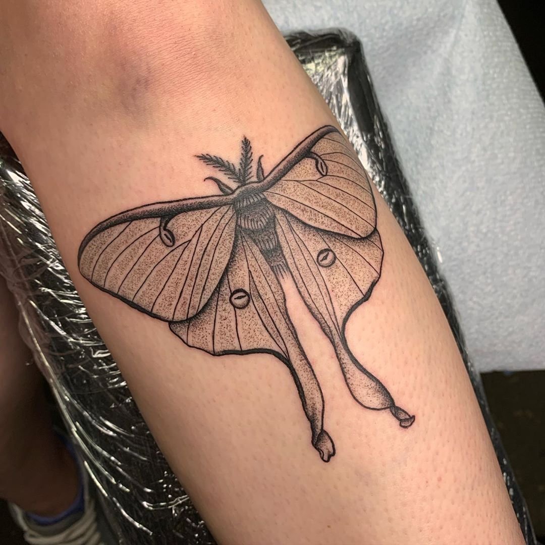 102 Magical Luna Moth Tattoo Ideas and Meanings SESO OPEN