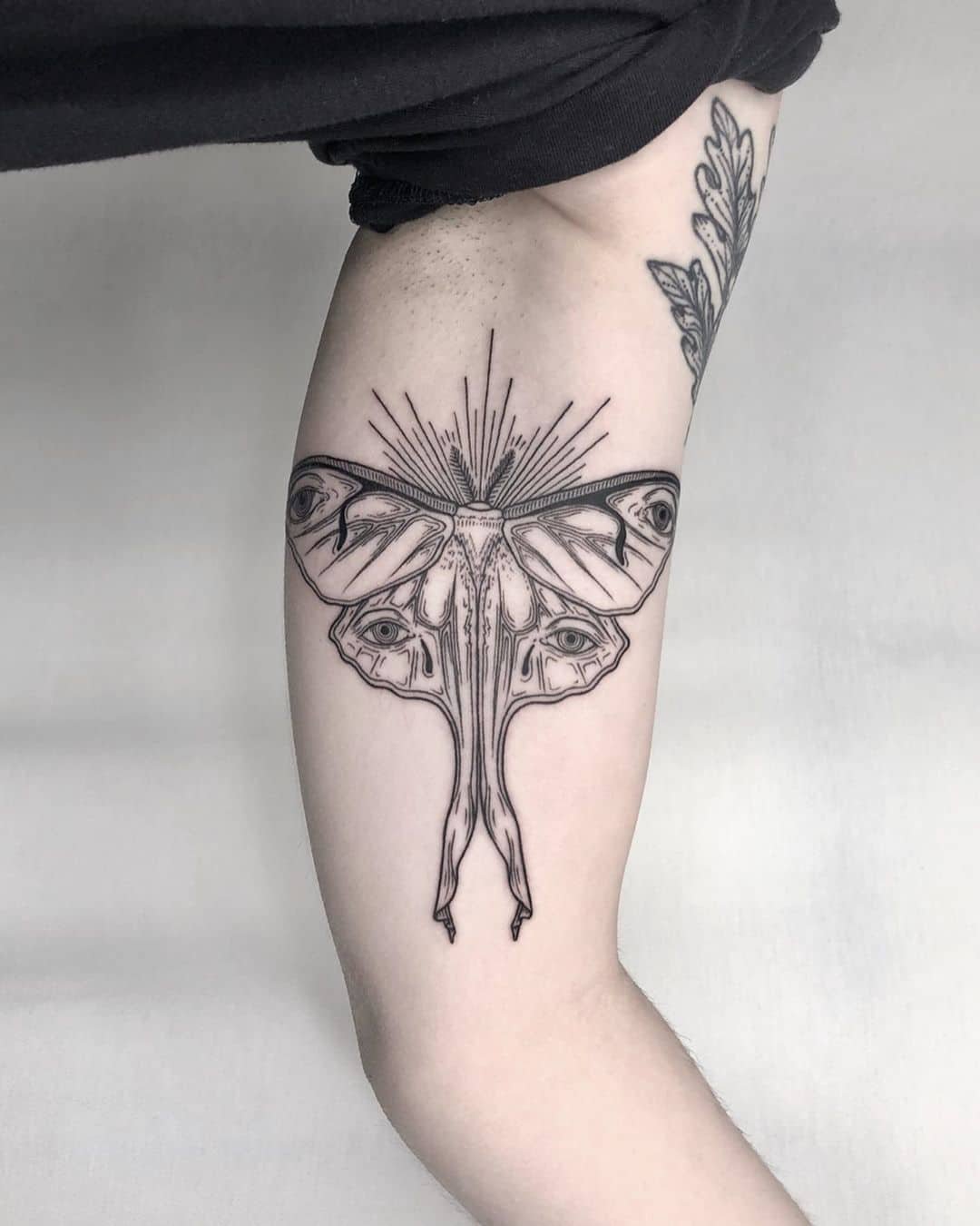 moth tattoo