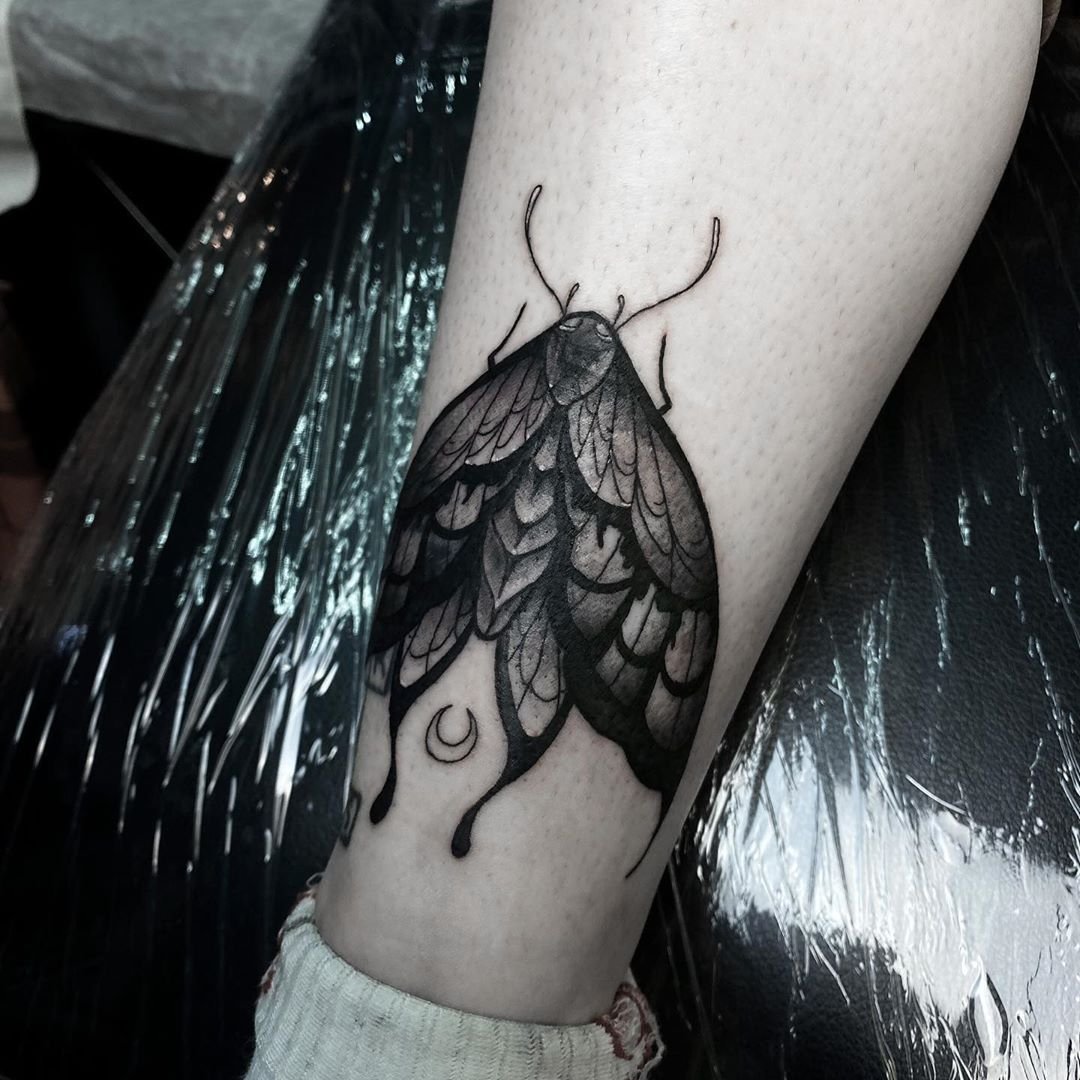 moth tattoo