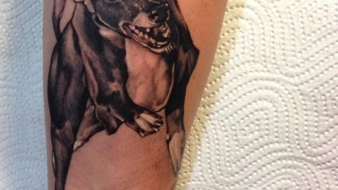 30+ Amazing Whippet Tattoos with Meanings - Body Art Guru