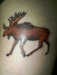40+ Amazing Moose Tattoos with Meaning - Body Art Guru