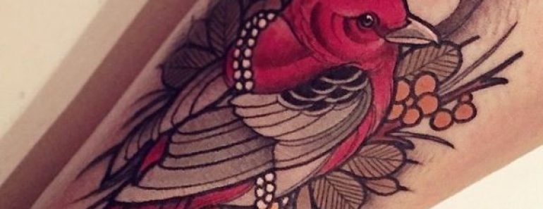 10+ House Finch Tattoos with Meaning 10+ House Finch Tattoos with Meaning