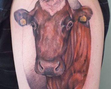 50+Amazing Cow Tattoos with Meanings