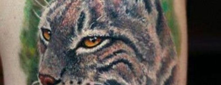 40+ Amazing Bobcat Tattoos with Meaning 40+ Amazing Bobcat Tattoos with Meaning