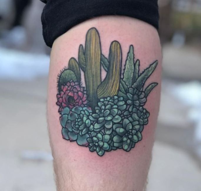 15 Amazing Aloe Vera Tattoos Designs with Meanings and Ideas Body Art