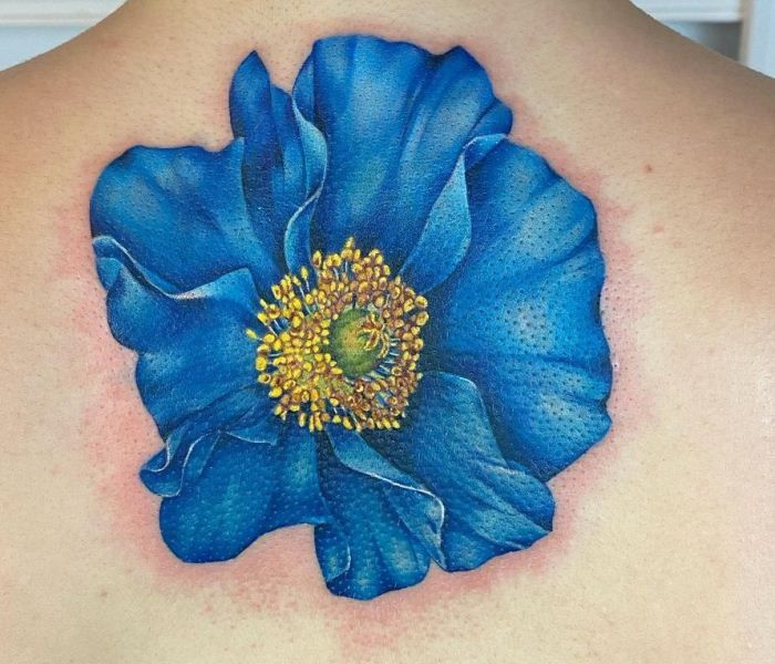 Terrific Poppy Tattoo Design On Back