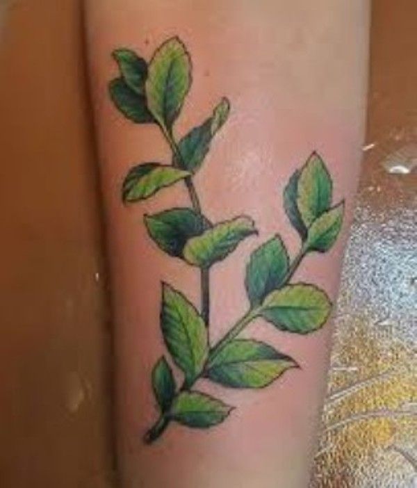 Compassionate Mint Leaves Tattoo Design on the Forearm