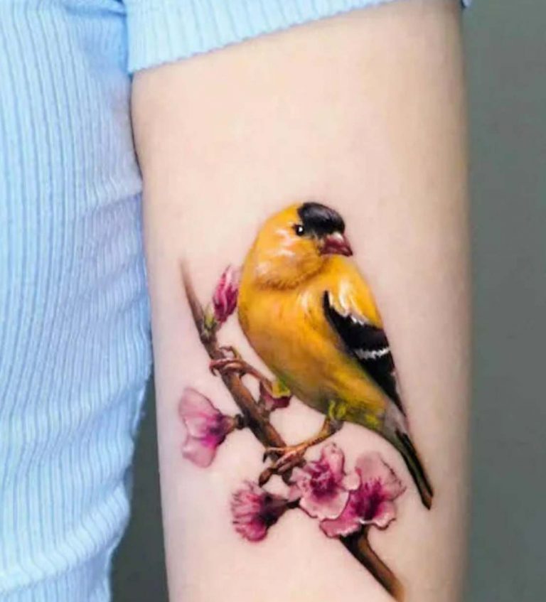 50 Beautiful Bird Tattoo Designs with Ideas and Meanings Body Art Guru