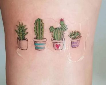 20+ Best Cactus Tattoo Designs with Ideas and Meanings
