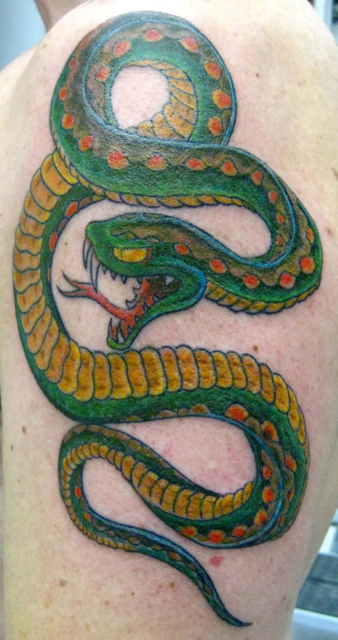 100+ Charming Snake Tattoo Designs with Meaning and Ideas Body Art Guru