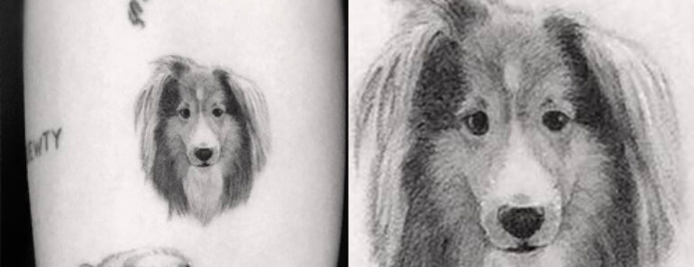 13 Celebrities with Cute Dog Tattoos Designs 13 Celebrities with Cute Dog Tattoos Designs